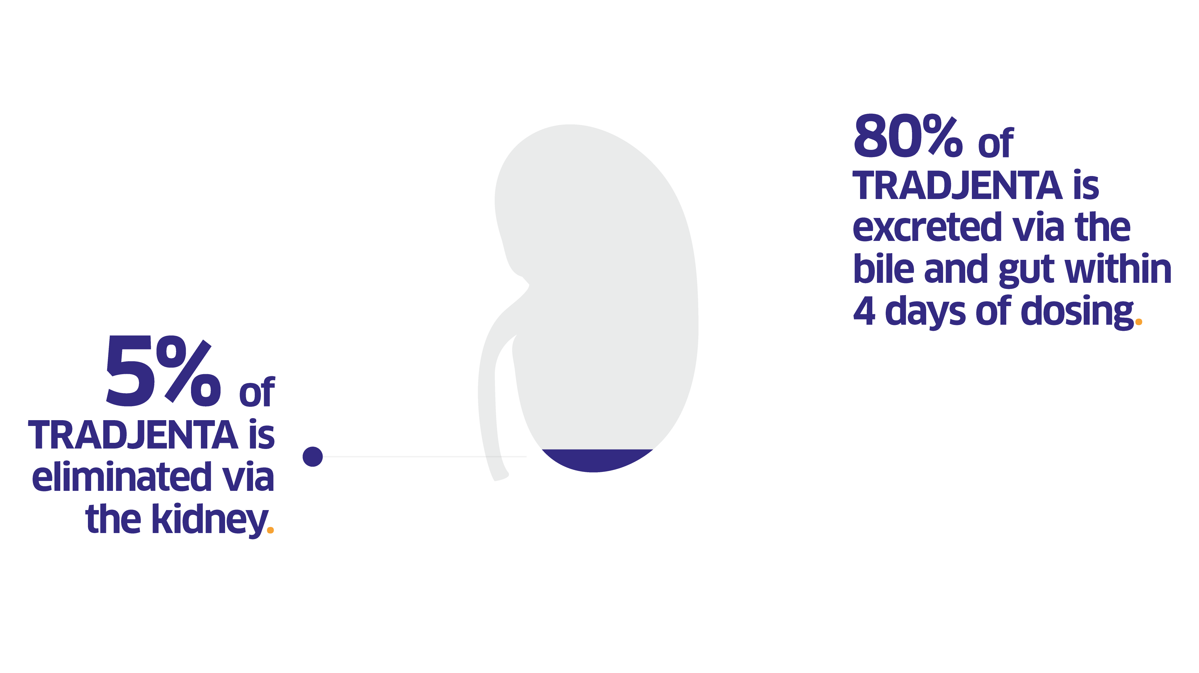 Tradjenta Not Primarily Excreted By The Kidneys